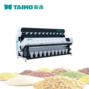 سورتینگ حرفه ای تایهو